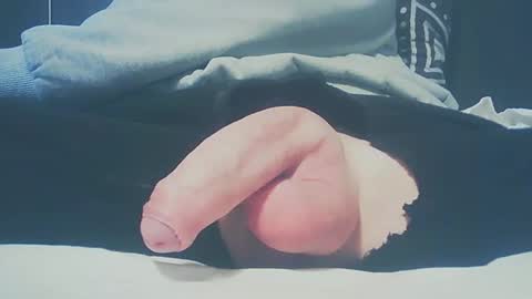 Snapshot of bundy2016 chatting on February 23, 3:40 pm Dutch cock online show from February 23, 3:40 pm