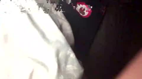 Snapshot of bungle87 chatting on September 14, 2:44 am bungle online show from September 14, 2:44 am