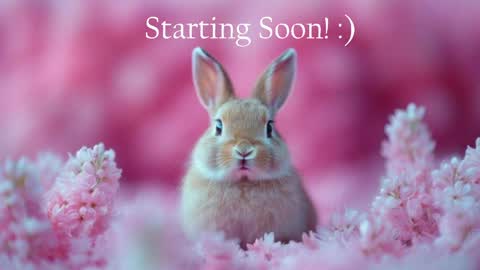Stella online show from May 21, 11:56 pm