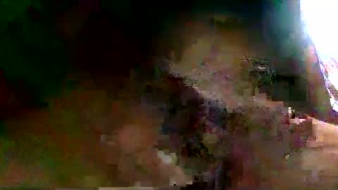 Snapshot of burro3000 chatting on December 13, 4:43 am burro3000 online show from December 13, 4:43 am