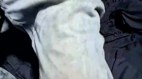 Snapshot of buster18hymen chatting on October 21, 7:36 pm Buster18Hymen online show from October 21, 7:36 pm