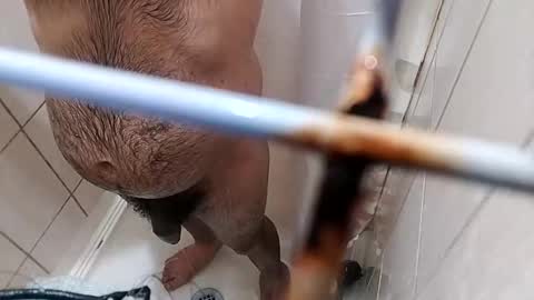 Snapshot of bxpapi69 chatting on November 10, 4:22 am bxpapi69 online show from November 10, 4:22 am