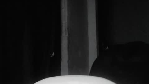 Snapshot of cafinfi1 chatting on February 18, 1:45 am cafinfi1 online show from February 18, 1:45 am