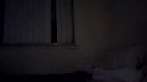 caga_palos online show from February 17, 4:31 am