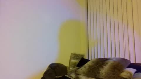 Cal XXX online show from November 1, 2:13 am