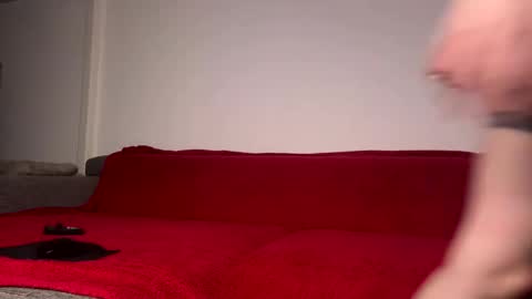 Caliiie of online show from January 15, 6:51 am