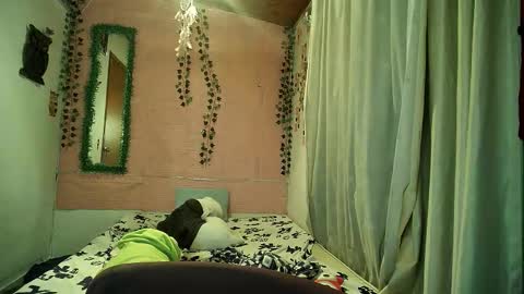 paula online show from February 12, 2:28 am