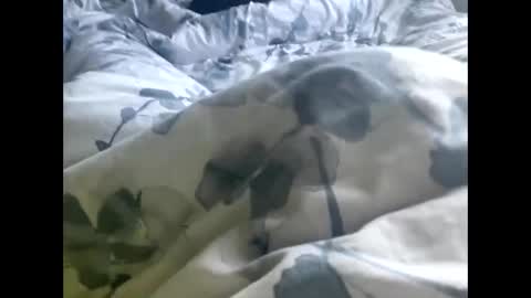 callmedaddyyouslut44 online show from March 2, 11:50 am