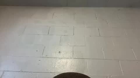 Snapshot of callontyrone21 chatting on September 9, 12:21 am Callontyrone21 online show from September 9, 12:21 am