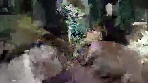 CameronRays online show from April 25, 11:57 pm