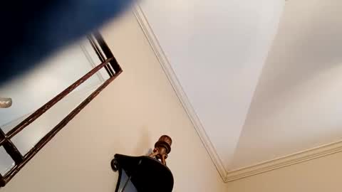 camerontaylorcub online show from December 3, 5:12 pm