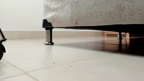 camii  online show from April 13, 11:43 pm