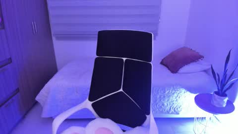 Snapshot of camila_ec2 chatting on February 18, 2:07 am C A M I online show from February 18, 2:07 am