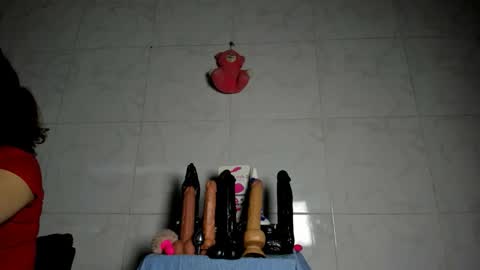 Snapshot of camilasexyhorny chatting on April 20, 10:22 pm camilasexyhorny online show from April 20, 10:22 pm