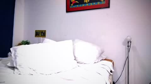 Snapshot of camilosaennz chatting on February 9, 11:15 pm camilo online show from February 9, 11:15 pm