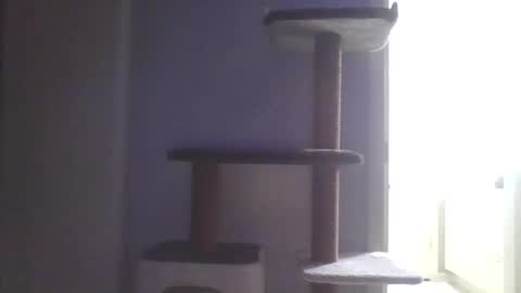 cammyman6900 online show from November 9, 4:55 am