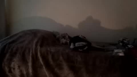 Camren online show from October 7, 2:47 pm