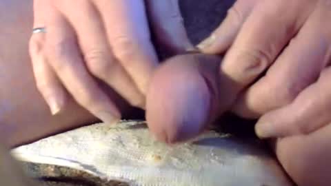 Cancock online show from March 1, 3:25 pm