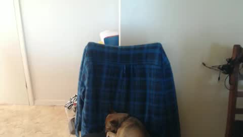 capt5105 online show from March 5, 3:13 am