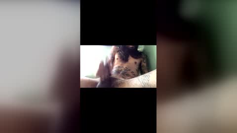 capt_thatcher online show from May 30, 4:48 pm