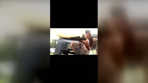 captain_deanos online show from February 13, 10:06 pm