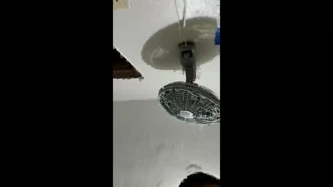 carlos201648 online show from February 2, 2:38 pm