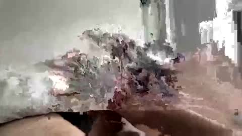 carnifex5 online show from February 26, 5:34 pm