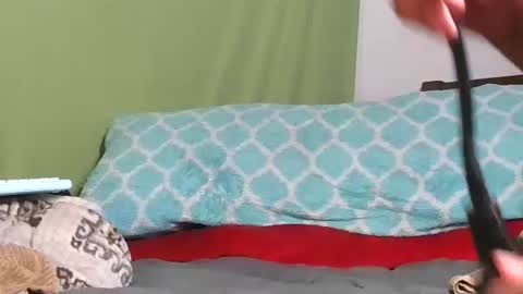 carolinayungin96 online show from November 11, 10:43 pm