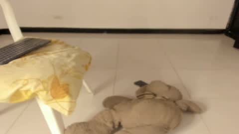 Snapshot of carolinnagomez chatting on March 11, 12:22 pm Caro online show from March 11, 12:22 pm