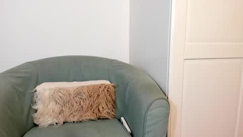 cassiecute - onlyfans account online show from October 27, 11:03 am