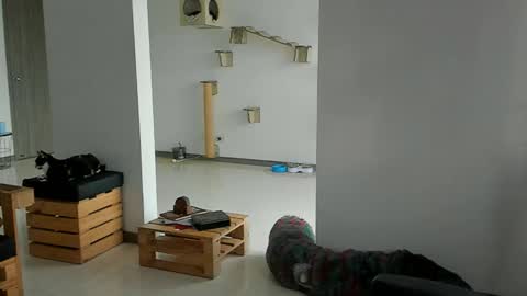 Cassandra online show from March 22, 11:57 am