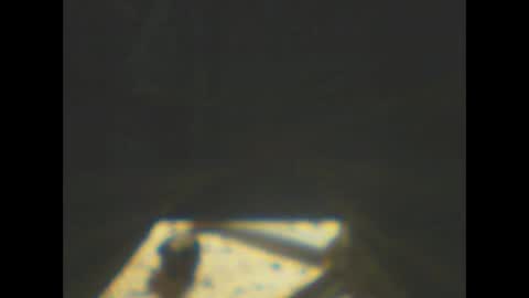 castells online show from January 8, 5:59 pm