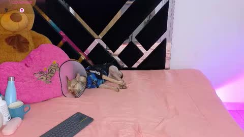 Catalina  online show from March 10, 10:15 pm