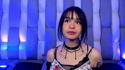 Cat  online show from December 2, 12:40 pm