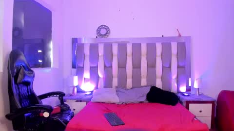 Cat  online show from December 6, 3:00 pm