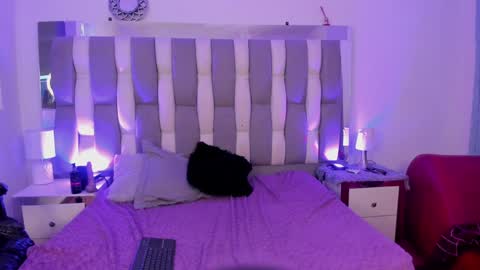 Cat  online show from December 7, 5:09 pm