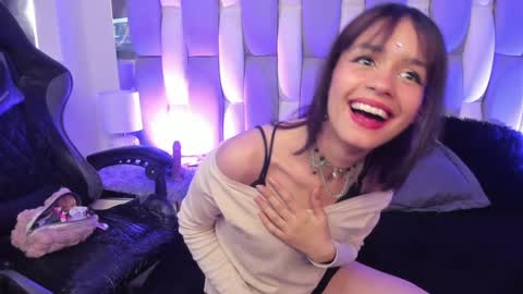 Cat  online show from December 14, 2:10 pm