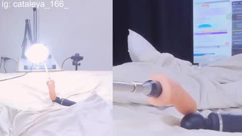 Cattleya Annie  online show from February 21, 2:06 am