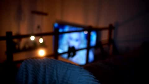 Snapshot of celeste_www chatting on February 14, 5:10 pm Sunflower online show from February 14, 5:10 pm