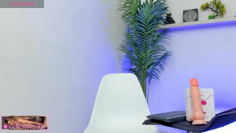 Snapshot of cellesteevans chatting on January 20, 4:45 pm Celeste online show from January 20, 4:45 pm