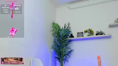 Snapshot of cellesteevans chatting on January 21, 5:41 pm Celeste online show from January 21, 5:41 pm