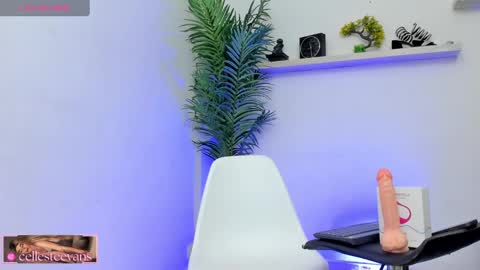 Snapshot of cellesteevans chatting on January 25, 9:04 pm Celeste online show from January 25, 9:04 pm