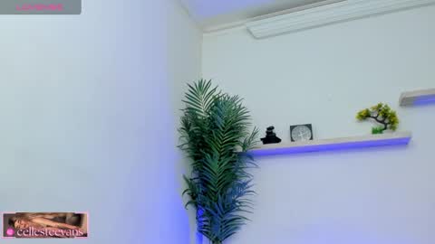 Snapshot of cellesteevans chatting on February 11, 3:18 pm Celeste online show from February 11, 3:18 pm