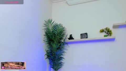 Snapshot of cellesteevans chatting on February 21, 2:59 pm Celeste online show from February 21, 2:59 pm