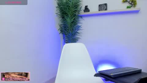 Snapshot of cellesteevans chatting on February 25, 3:38 pm Celeste online show from February 25, 3:38 pm