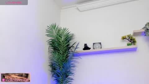 Snapshot of cellesteevans chatting on March 12, 7:28 pm Celeste online show from March 12, 7:28 pm