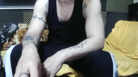 cezar online show from November 14, 3:16 am