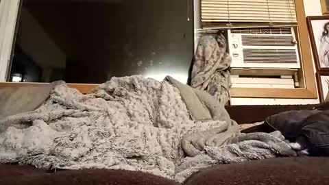 Chad420247 online show from February 11, 12:37 am