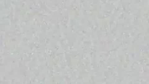 Snapshot of chaddydaddy99 chatting on April 6, 7:42 am oilmeup online show from April 6, 7:42 am