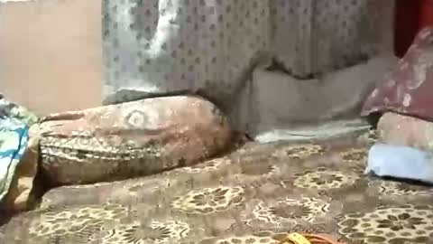 Stormydick online show from January 12, 3:17 pm